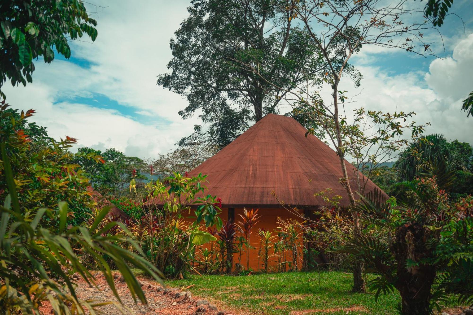 Huasquila Amazon Lodge Cotundo المظهر الخارجي الصورة